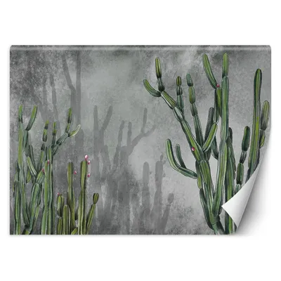 Produktbild von Kaktus Blumen Pflanzen FOTOTAPETE 200x140 cm VLIES Tapete Wandtapete Wandbilder Wanddekoration Design Wohnzimmer Schlafzimmer Flur Büro Küche T-7-TF-17971-200x140