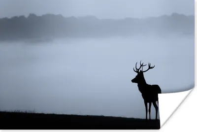 Produktbild von MuchoWow® Poster Hirsch - Nebel - Silhouette 180x120 cm - Fotoplakat