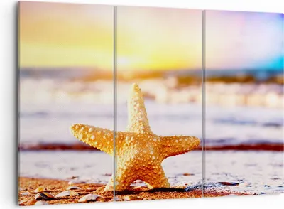 Produktbild von Bild auf Leinwand - Leinwandbild - Starfish Strand Sand Ozean - 105x70cm - Wand Bild - Wanddeko - Leinwanddruck - Bilder - Kunstdruck - Wanddekoration - Leinwand bilder - Wandkunst - CE105x70-2815