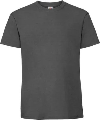 Image de Fruit Of The Loom T-shirt Premium pour homme PC3033 (L) (Gris clair)