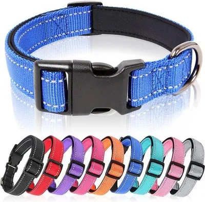 Productafbeelding van Ibenzoa® hondenhalsband van duurzaam nylon met een zachte neopreenvoering, reflecterende details, verstelbaar van 40 tot 66 cm, ABS-gesp