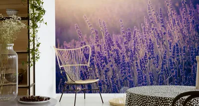 Immagine prodotto di Carta da parati in tessuto non tessuto murale bella lavanda fiori natura 360 cm (L) x 240 cm (H) murale decorazione murale