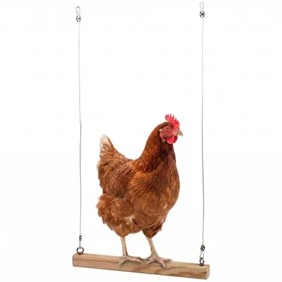 Image de Agrarzone Balançoire suspendue pour poulets