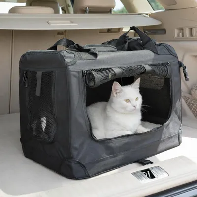 Produktbild von belviona Katzentransportbox, leichte & stabile Transporttasche Katzen, faltbar mit Mesh-Fenstern, Innenkissen & Taschen, 50x34x36 cm, schwarz