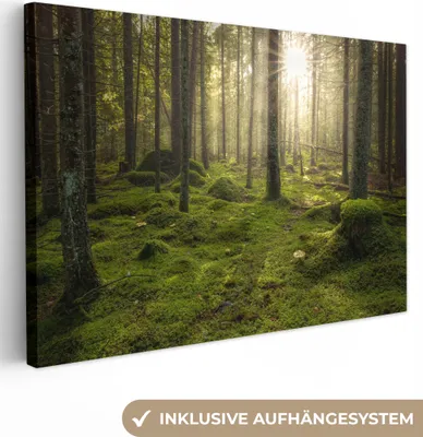 Produktbild von OneMillionCanvasses® - Leinwandbilder - 150x100 cm, Wald - Sonne - Baum, Wandbilder Kunstdruck Wanddekoration