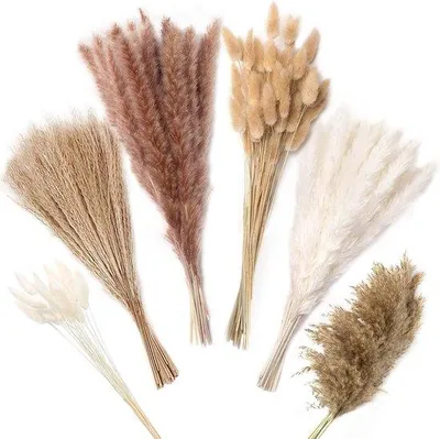 Produktbild von Famanu Pampasgras 130 Stück - Natürliche Trockenblumen Dekoration für Boho-Stil