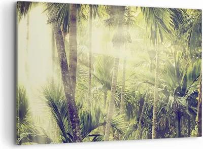 Produktbild von Bild auf Leinwand - Leinwandbild - Einteilig - Morgendämmerung Dschungel Palmen - 100x70cm - Wand Bild - Wanddeko - Wandbilder - Leinwanddruck - Bilder - Wanddekoration - Leinwand bilder AA100x70-4450