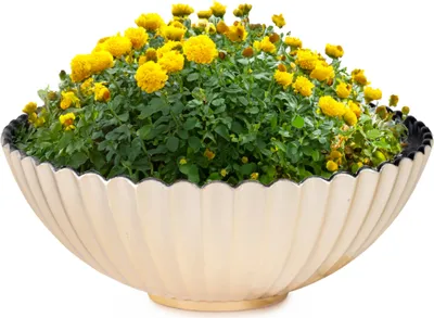 Image de Coupe décorative jardinière ronde pour l'extérieur champagne or 16 cm