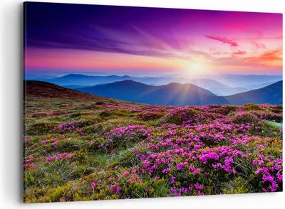 Produktbild von Bild auf Leinwand - Leinwandbild - Wiese Berg Himmel Landschaft - 100x70cm - Wand Bild - Wanddeko - Leinwanddruck - Bilder - Kunstdruck - Wanddekoration - Leinwand bilder - Wandkunst - AA100x70-2719