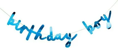Produktbild von Birthday Boy metallic Girlande 2m