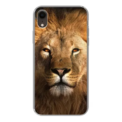 Produktbild von MuchoWow® Handyhülle Schutzhülle Hülle für iPhone XR Löwe - Tiere - Schwarz - Hell - Braun - Porträt Silikon Softcase Handy Hülle - Schutzdeckel