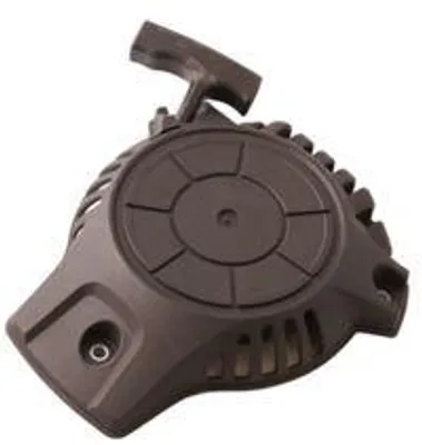 Produktbild von Chinesischer Mühnerstarter 99Cc 1P56F