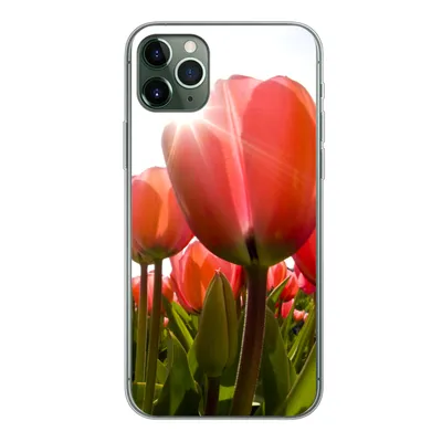 Produktbild von MuchoWow® Handyhülle Schutzhülle Hülle für iPhone 11 Pro Max Blumen - Tulpen - Sonne Silikon Softcase Handy Hülle - Schutz