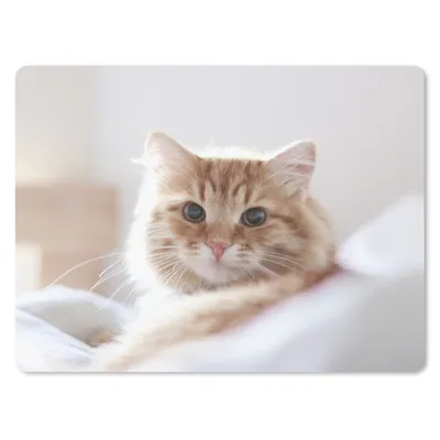Produktbild von MuchoWow® Mauspad Mousepad Katze - Rot - Bett - Mädchen - Kinder - Jungen 40x30 cm - Mousepads - Maus Mat - Pad - Mausunterlage - Anti Rutsch
