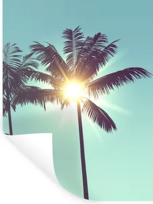 Produktbild von MuchoWow® Wandtattoo Wandsticker Wandaufkleber Palmen - Sommer - Sonne 90x120 cm Selbstklebend und Repositionierbar - Faltenfrei