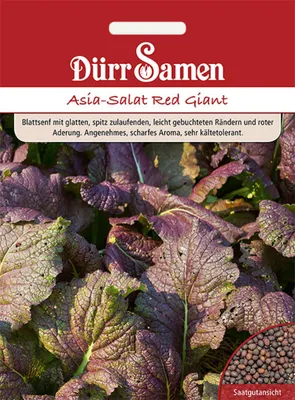 Produktbild von Dürr-Samen - Asia-Salat Red Giant - Saatgut - 1897