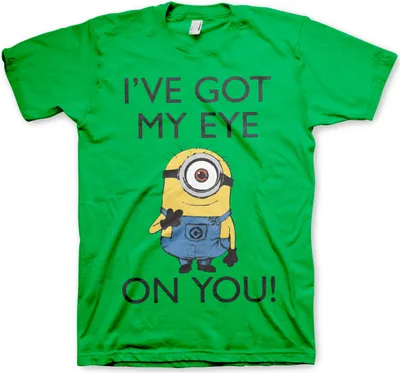 Produktbild von Minions - I Got My Eye On You T-Shirt - Medium - Green