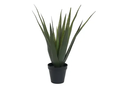 Produktbild von EUROPALMS Aloe-Vera Pflanze, Kunstpflanze, 60cm (82600167)