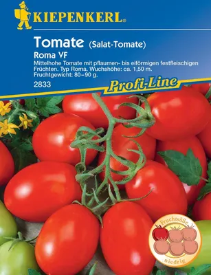 Immagine prodotto di Pomodoro da insalata Roma VF (pomodoro a uovo/pomodoro Roma), frutti dalla forma che va da quella a prugna a quella a uovo, dalla polpa soda
