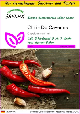 Produktbild von SAFLAX Anzucht Set - Chili - De Cayenne - Capsicum annum - 20 Samen - Mit Mini-Gewächshaus, Anzuchtsubstrat und 2 Töpfen