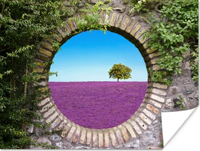 Produktbild von MuchoWow® Poster Lavendel - Ausblick - Blumen - Sommer 120x90 cm - Wandbild