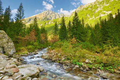 Produktbild von Fototapete - Valley 375x250cm - Vliestapete