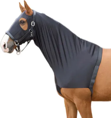 Image de Harry's Horse Elastic With Hood Brustschutz Blau L Blau L