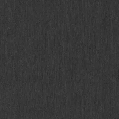 Obrázok produktu pre Vliesová tapeta 10281-15 Jednofarebná tapeta 0,53 x 10,05 m Erismann Versailles Black