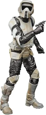 Produktbild von Hasbro F2871 STAR WARS Black Series Carbonized Scout Trooper