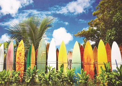Produktbild von EUROGRAPHICS Surfer's Paradise Puzzle 1000 Teile
