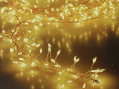 Immagine prodotto di Catena luminosa a grappolo di LED in filo d'argento, bianco caldo, 480 LED, 230V~, IP44, 9,8 m