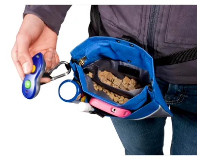 Obrázek produktu pro PetSafe Treat Pouch, voděodolná taška na pamlsky, nastavitelná velikost, mini, černá