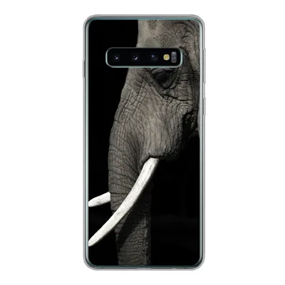 Produktbild von MuchoWow® Handyhülle Schutzhülle Hülle für Samsung Galaxy S10 Elefant - Tier - Stoßzahn Silikon Softcase Handy Hülle - Handytasche
