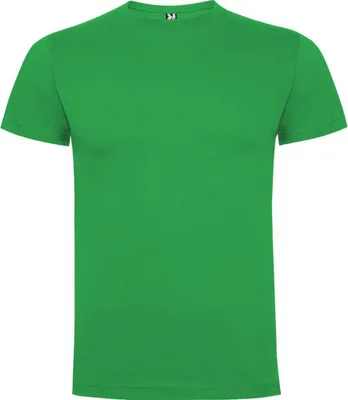 Productafbeelding van Roly - "Dogo" T-shirt voor kinderen, model PF4506 (maat 146-152) (Iersgroen)