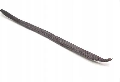 A single vanilla bean is shown against a white background.