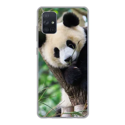 Produktbild von MuchoWow® Handyhülle Schutzhülle Hülle für Samsung Galaxy A71 Panda - Tiere - Dschungel - Natur Silikon Softcase Handy Hülle - Kartenbesitzer