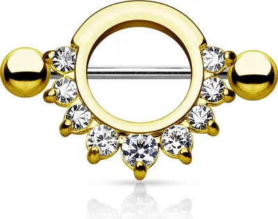 Produktbild von Brustwarzen Piercing Nippelpiercing Brustpiercing Nipple Shield Schild Zirkonia Kristalle