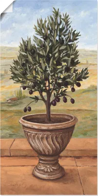 Produktbild von ARTland Poster Olivenbaum Größe: 50x100 cm