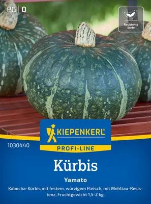 Produktbild von Kiepenkerl Kürbissamen Yamato F1 Cucurbita maxima 5 Pflanzen