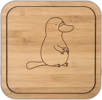 Produktbild von Mr. & Mrs. Panda Tassenuntersetzer Schnabeltier Mut - Transparent - Geschenk, mutig, Coaster, kork untersetzer, Tischuntersetzer, kunststoff, Training, Meer, Büro, Arbeit