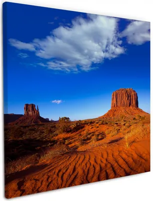 Produktbild von Wallario Premium Leinwandbild Monument Valley am Abend I in Größe 50 x 50 cm