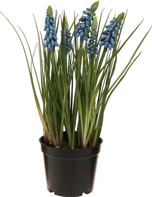 Produktbild von Hyazinthen Kunstpflanze Blau im Topf 24cm