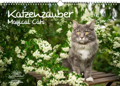 Produktbild von Katzenzauber Immerwährender Kalender DIN A3 Katzen und Katzenbabys - Seelenzauber
