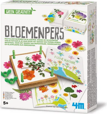Produktbild von 4M Kidz Lab Grüne Kreativitätsblöcke