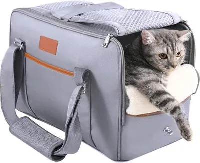 Produktbild von Famanu Transporttas für Katzen und Hunde - atmungsaktiv - weiche Matratze - verstellbarer Schulterriemen - faltbare Transportbox