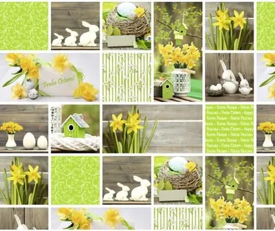 Produktbild von Motiv-Fotokarton 300g/qm 49,5x68cm Ostern Motiv sortiert VE=10 Bogen