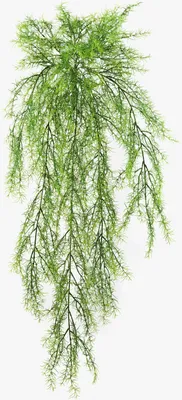 Produktbild von artplants.de Künstliche Spargelkrautranke, 11 Zweige, grün, 75cm - Künstliche Ranken - Kunstpflanze