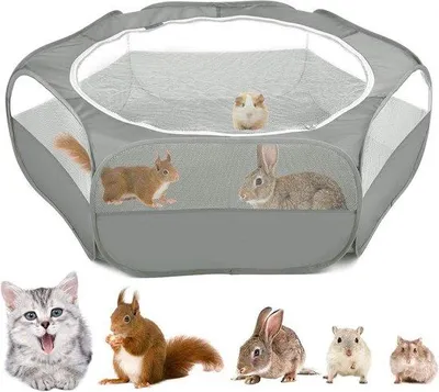 Produktbild von Famanu Übungsbox für kleine Tiere - wasserdicht - grau