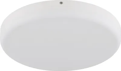 Obrázok produktu pre GLOBO 12387-24W, LED, 4000 K, 2000 lm, IP20