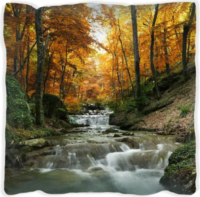 Produktbild von Wallario Premium Kissen, weiche Oberfläche, mit Motiv Kleiner Bach über Steine im Herbstwald, Größe: 60 x 60 cm, mit weißer Rückseite